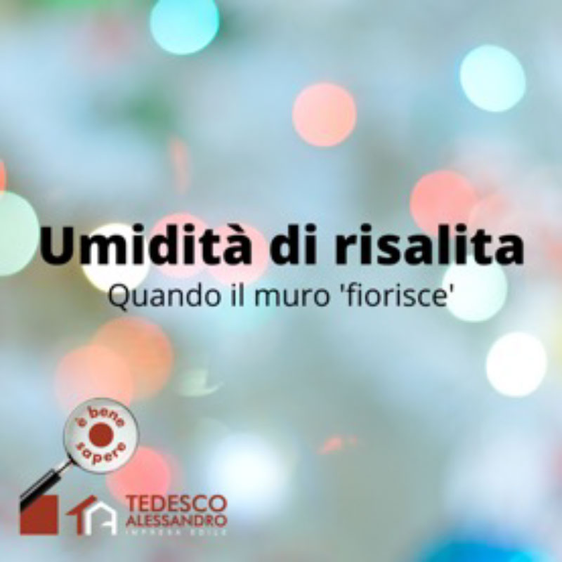 Umidità di risalita